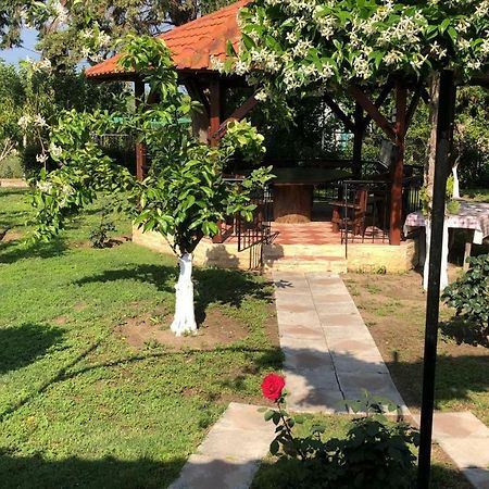 Best Summer Vacation Nea Kallikrateia Kültér fotó